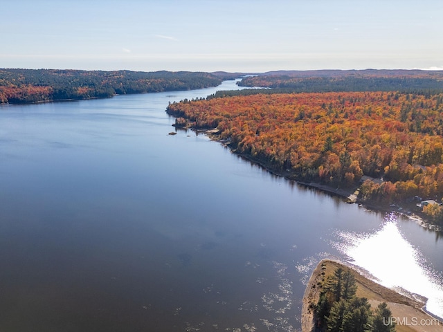 23 Chipman Dr, Ishpeming, MI 49849 - drone / aerial view of a forest and a large body of water