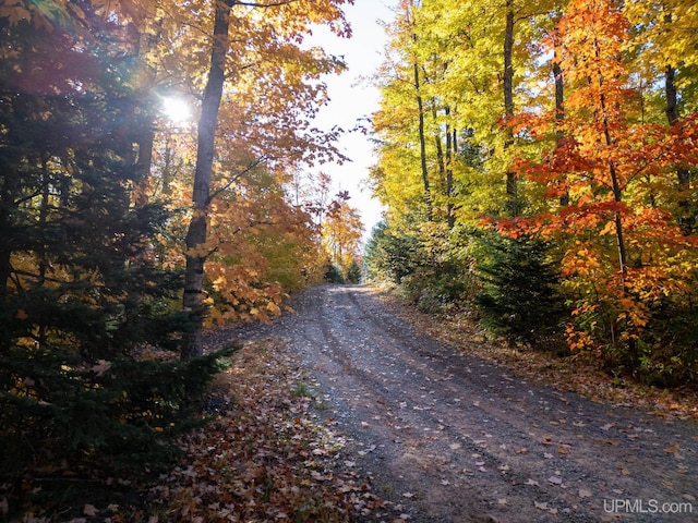 23 Chipman Dr, Ishpeming, MI 49849 - view of road with a view of trees