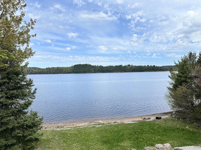 23 Chipman Dr, Ishpeming, MI 49849 - water view