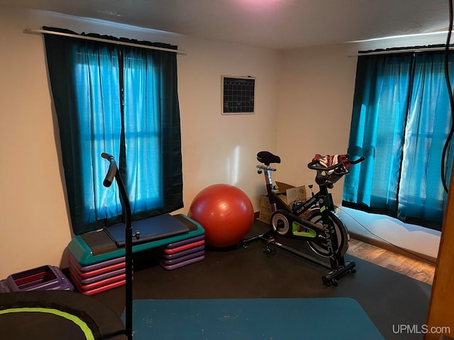 workout area featuring hardwood / wood-style flooring