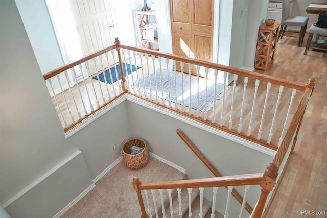 stairway with carpet flooring