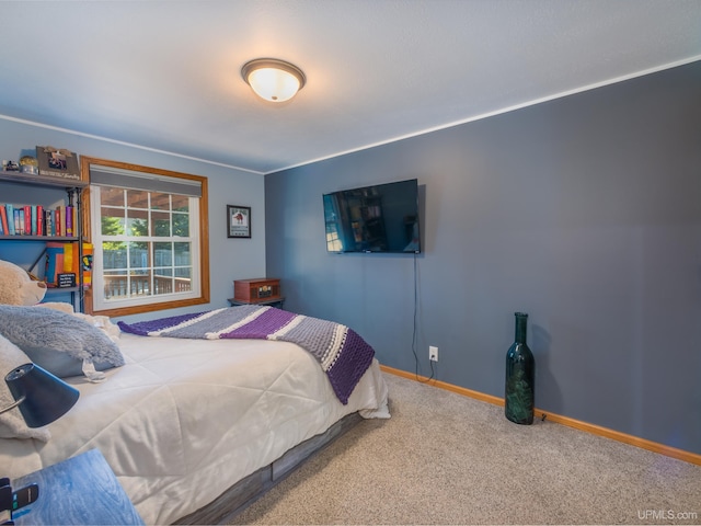 bedroom with crown molding and carpet flooring