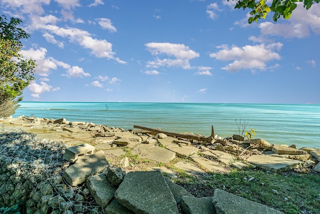 water view featuring a beach view