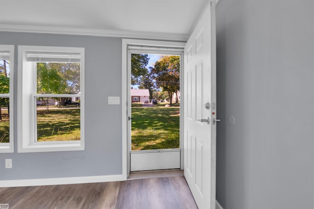 doorway to outside featuring crown molding and light hardwood / wood-style flooring