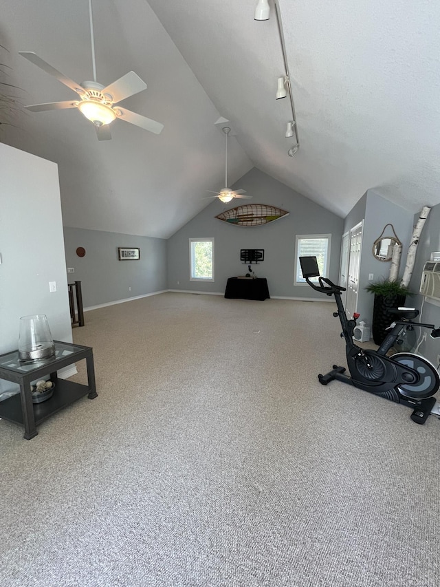 workout room with carpet and lofted ceiling