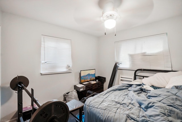 bedroom with ceiling fan