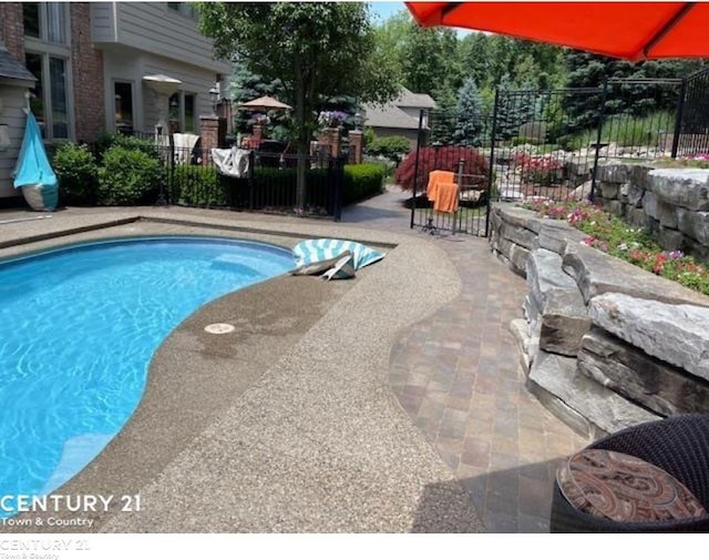 view of swimming pool featuring a patio