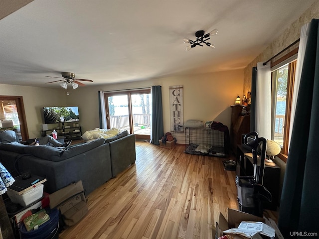 living room with ceiling fan and light hardwood / wood-style floors