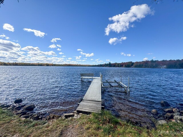 dock area with a water view