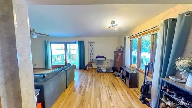 living room with light hardwood / wood-style floors and ceiling fan