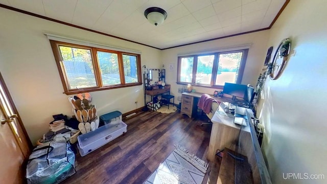 home office featuring a healthy amount of sunlight, ornamental molding, and dark hardwood / wood-style flooring