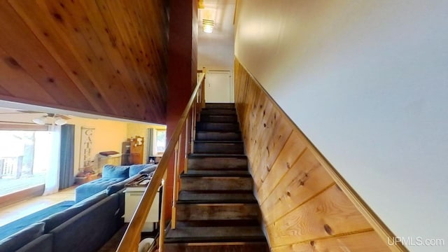 stairway featuring wood-type flooring, wood walls, a high ceiling, and a healthy amount of sunlight