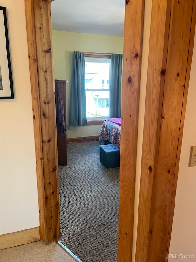 interior space featuring carpet floors