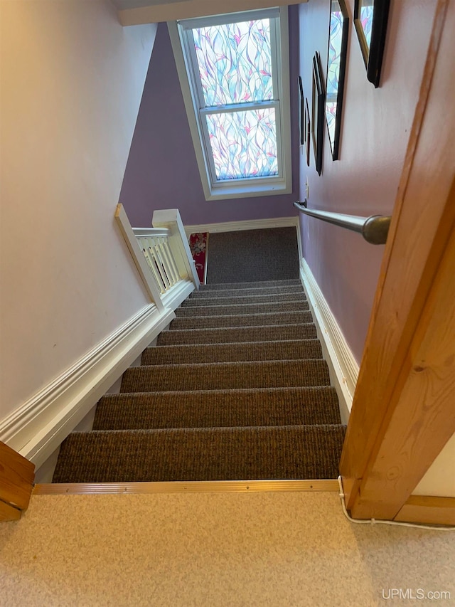 staircase with carpet flooring