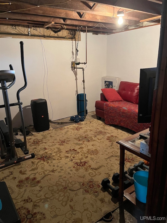 exercise room featuring carpet floors