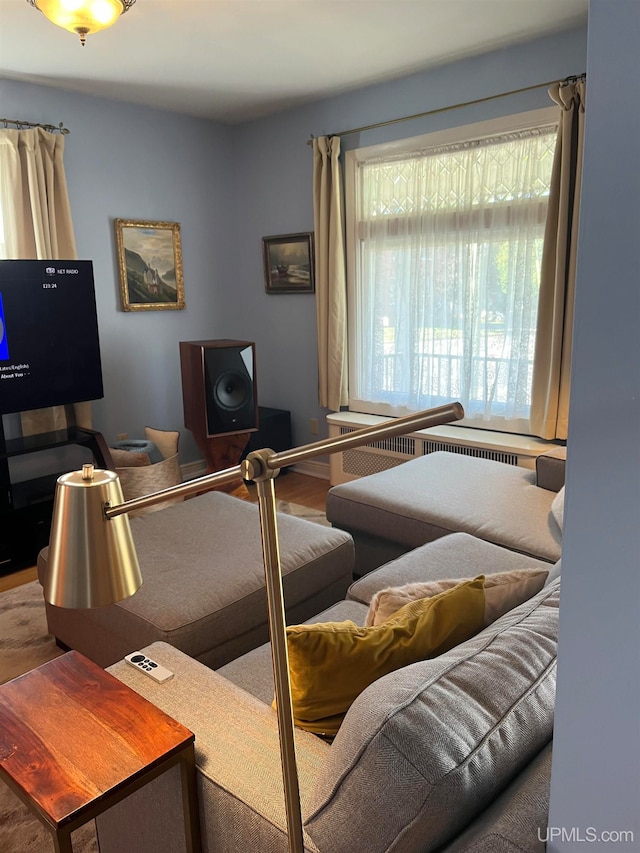 living room with hardwood / wood-style flooring