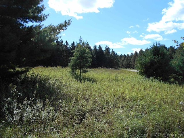 TBD County Road 436 Road, Gulliver, MI 49840