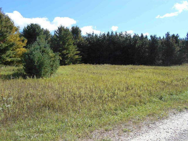 Listing photo 2 for TBD County Road 436 Road, Gulliver MI 49840