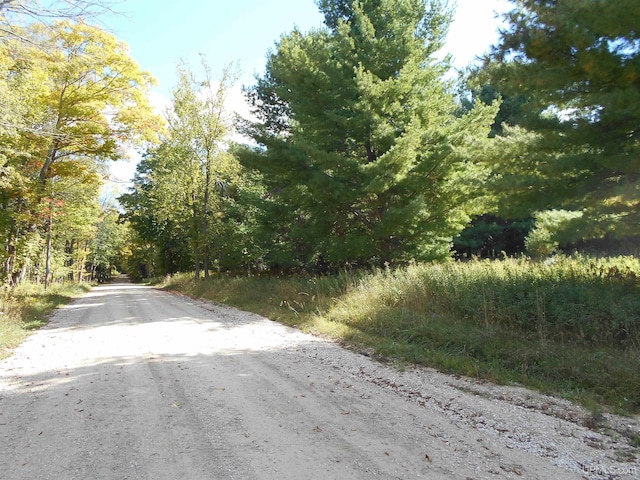 Listing photo 3 for TBD County Road 436 Road, Gulliver MI 49840