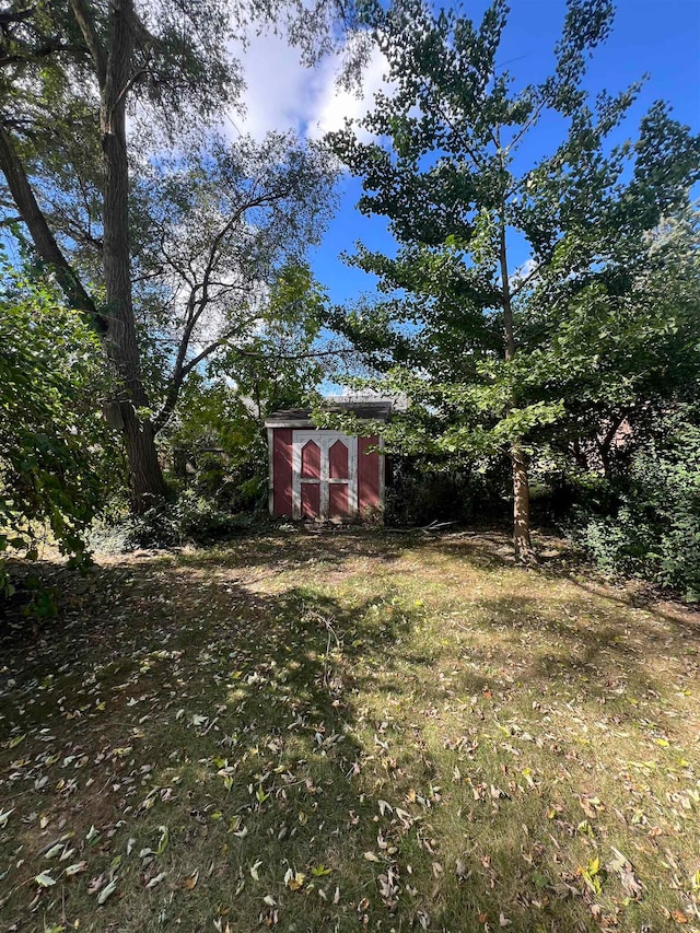 view of yard with a shed