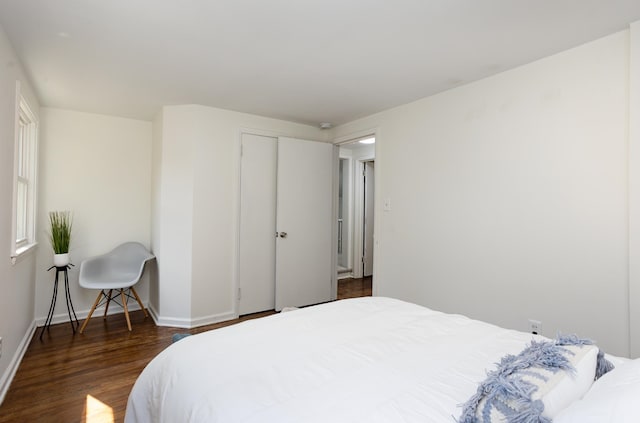 bedroom featuring dark hardwood / wood-style flooring and a closet