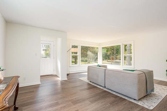 living room featuring baseboard heating and hardwood / wood-style floors