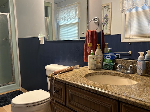 bathroom featuring a shower with door, toilet, a healthy amount of sunlight, and vanity