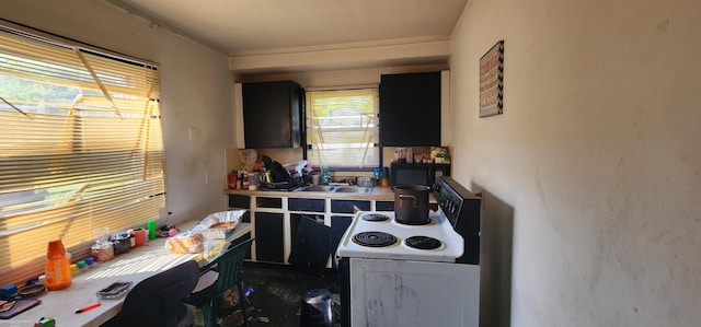 kitchen with white electric range oven and sink