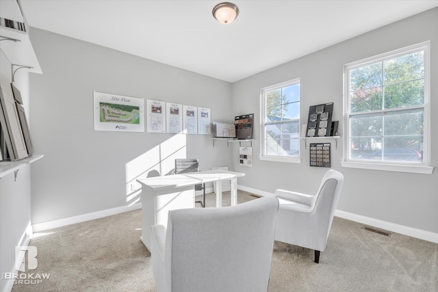 home office featuring light colored carpet, visible vents, and baseboards