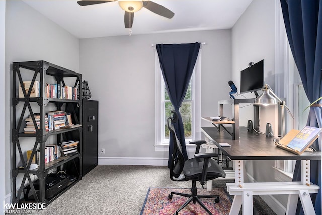 home office with ceiling fan and carpet