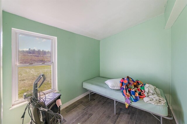 bedroom featuring wood-type flooring