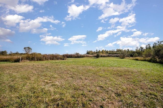 view of yard with a rural view