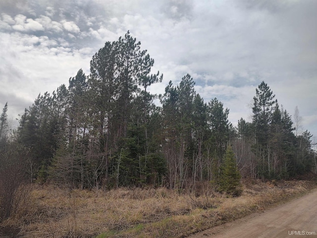 Listing photo 3 for 80ACRES 18th Rd, Republic MI 49879