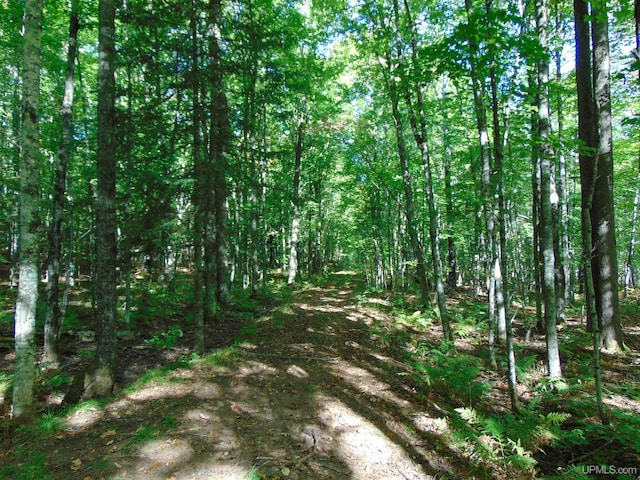 TBD1 US Highway 45, Bruce Crossing, MI 49912
