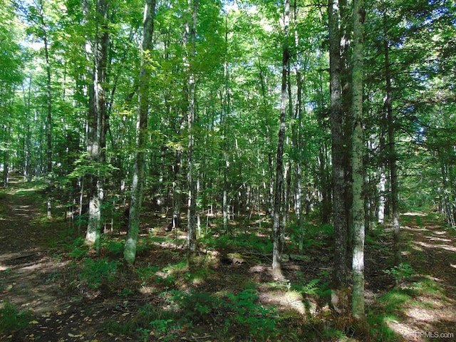 TBD1 US Highway 45, Bruce Crossing, MI 49912