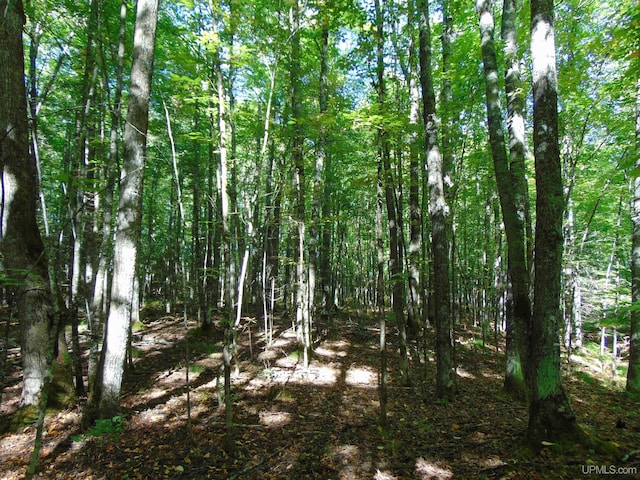 TBD1 US Highway 45, Bruce Crossing, MI 49912