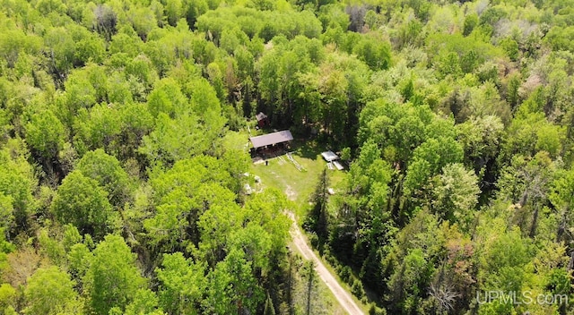TBD1 US Highway 45, Bruce Crossing, MI 49912