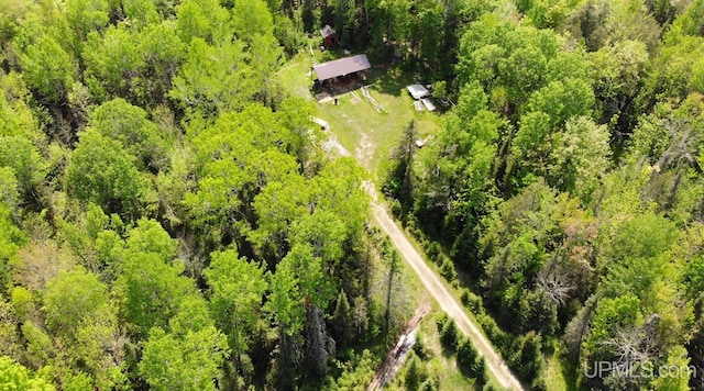 TBD1 US Highway 45, Bruce Crossing, MI 49912
