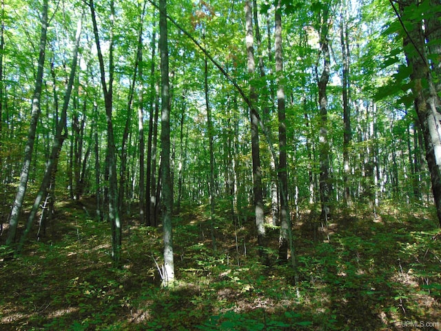 TBD1 US Highway 45, Bruce Crossing, MI 49912