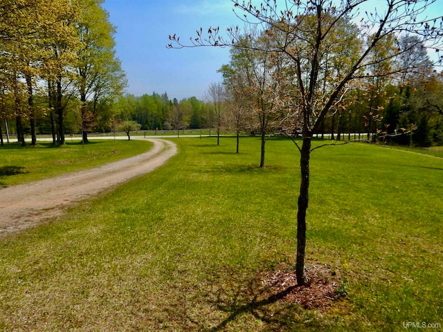 view of home's community with a yard