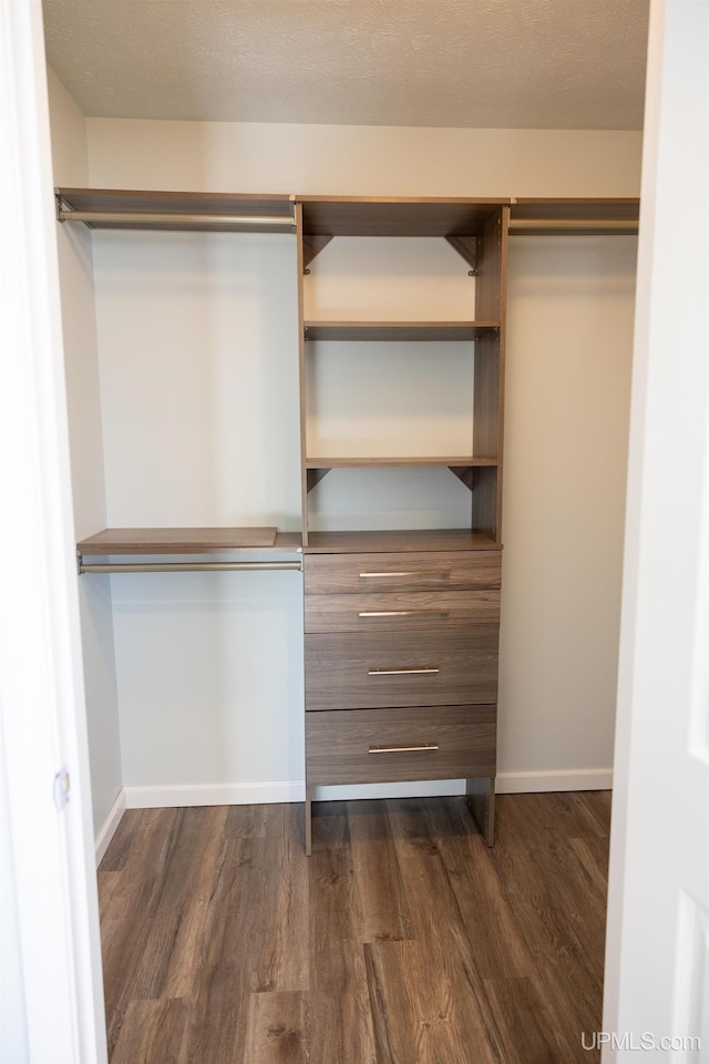 walk in closet featuring dark wood-type flooring