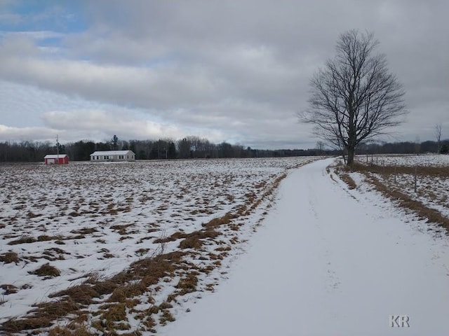 yard layered in snow with a rural view