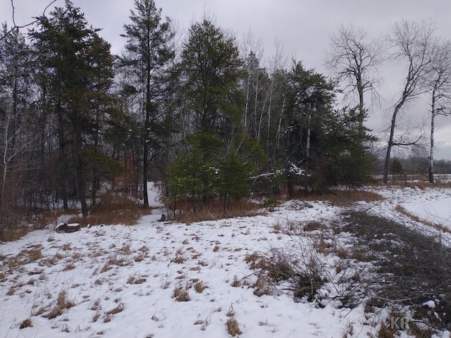 view of snow covered land