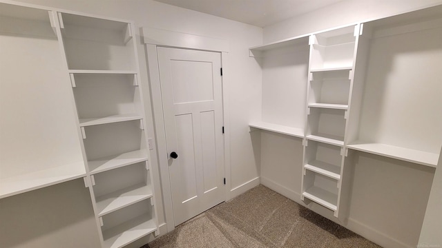 walk in closet with carpet floors