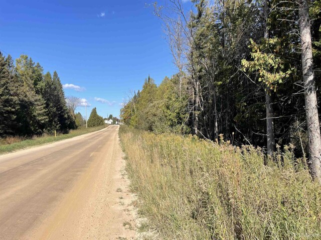 TBD US41 Highway, Trenary, MI 49878