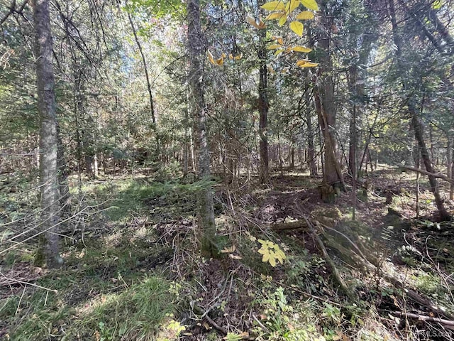 TBD US41 Highway, Trenary, MI 49878