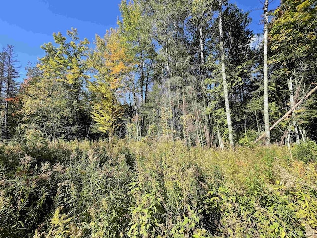 TBD US41 Highway, Trenary, MI 49878