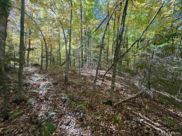 Listing photo 3 for TBD4.5 Salmon Rd, Lanse MI 49946