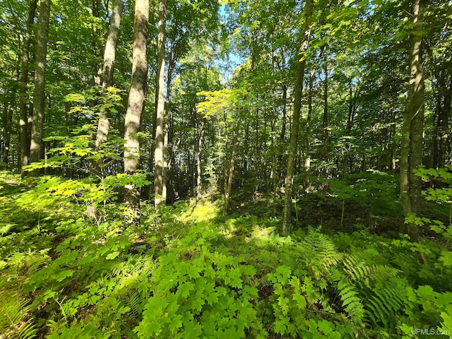 Listing photo 2 for UNIT12 Redridge Creek Rd, Atlantic Mine MI 49905