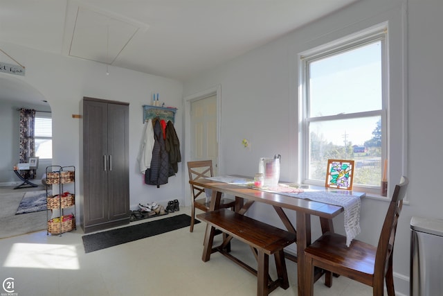 dining space featuring a wealth of natural light